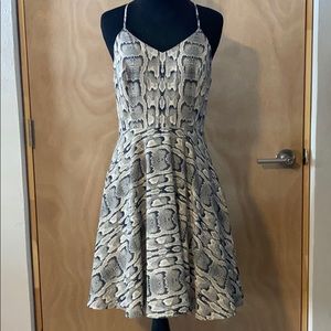 Animal Print Casual Dress